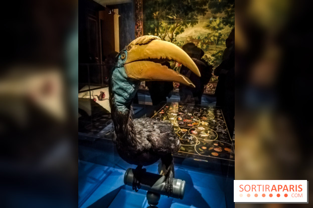 Les animaux du Roi, une exposition qui a du chien au Château de Versailles - nos photos