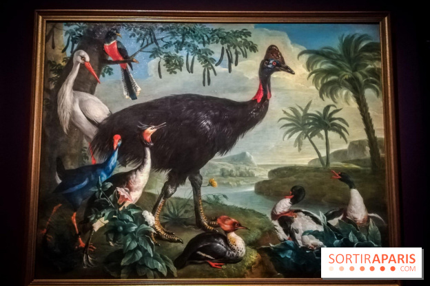 Les animaux du Roi, une exposition qui a du chien au Château de Versailles - nos photos