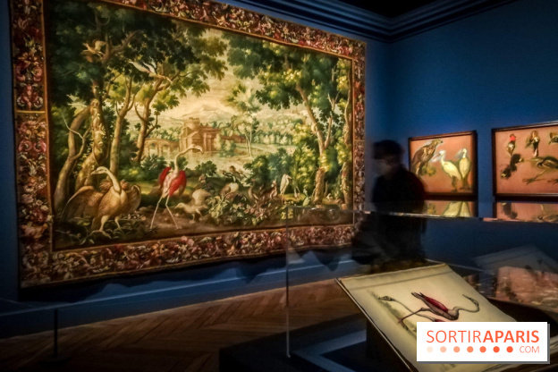 Les animaux du Roi, une exposition qui a du chien au Château de Versailles - nos photos