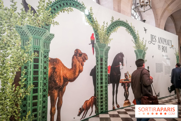 Les animaux du Roi, une exposition qui a du chien au Château de Versailles - nos photos