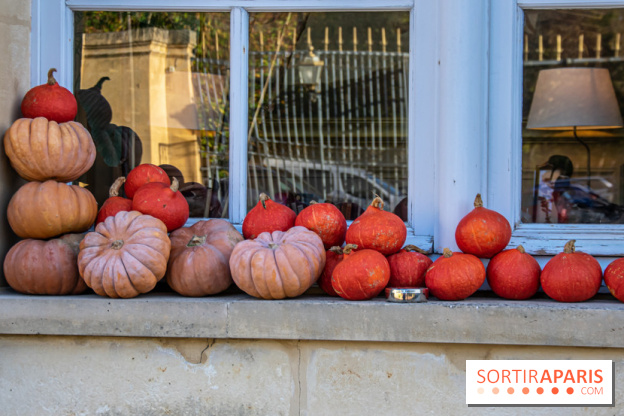 citrouille halloween légumes visuel actualités