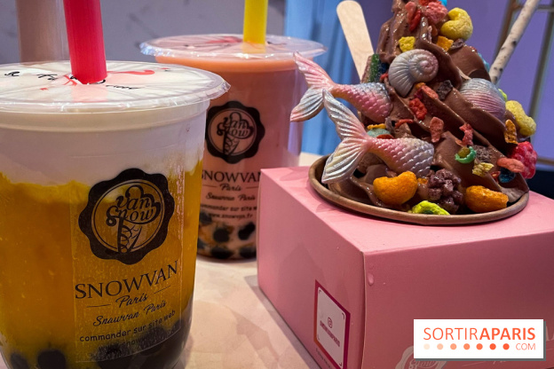 Snowvan, le spot aux bubble tea et glaces insolites