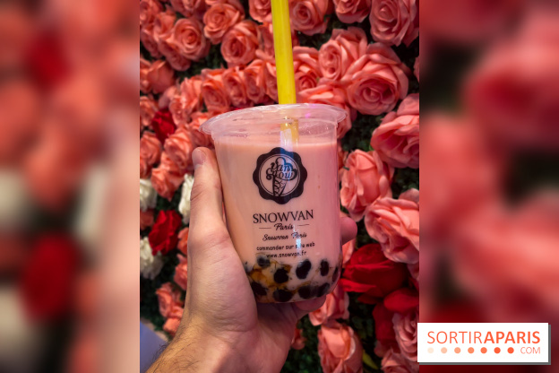 Snowvan, le spot aux bubble tea et glaces insolites