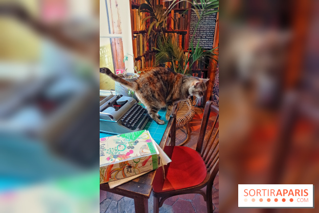 Shakespeare and Company, le café-librairie le plus anglais de Paris