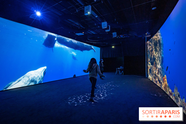 Photos : Odyssée sensorielle, l’expo immersive au Museum 