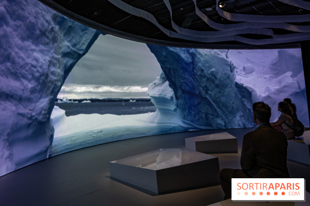 Photos : Odyssée sensorielle, l’expo immersive au Museum 