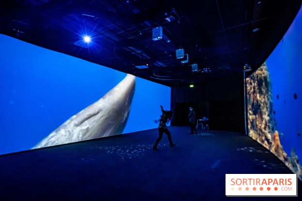 Photos : Odyssée sensorielle, l’expo immersive au Museum 