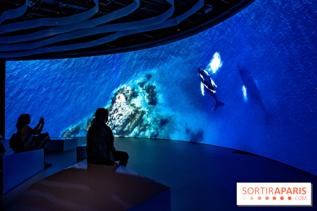 Photos : Odyssée sensorielle, l’expo immersive au Museum 