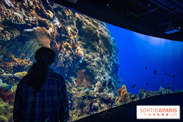 Photos : Odyssée sensorielle, l’expo immersive au Museum 