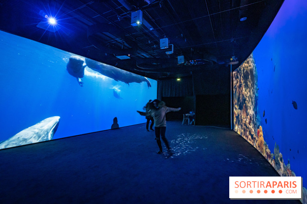 Photos : Odyssée sensorielle, l’expo immersive au Museum 