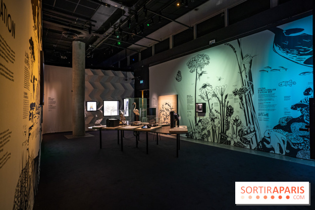 Photos : Odyssée sensorielle, l’expo immersive au Museum 