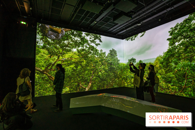 Photos : Odyssée sensorielle, l’expo immersive au Museum 