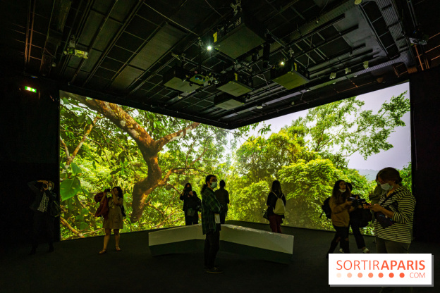 Photos : Odyssée sensorielle, l’expo immersive au Museum 