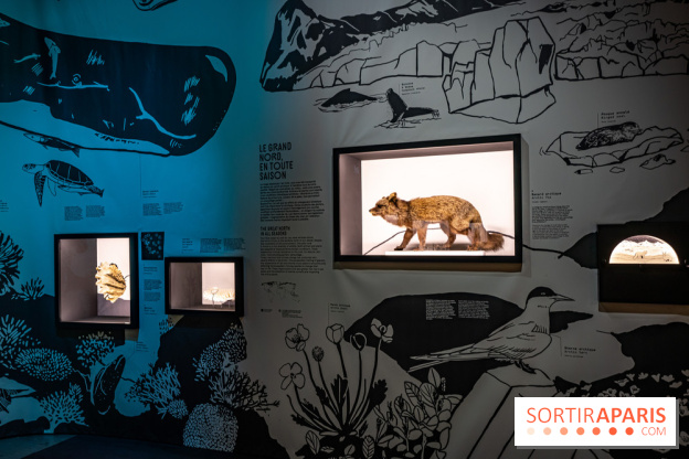 Photos : Odyssée sensorielle, l’expo immersive au Museum 