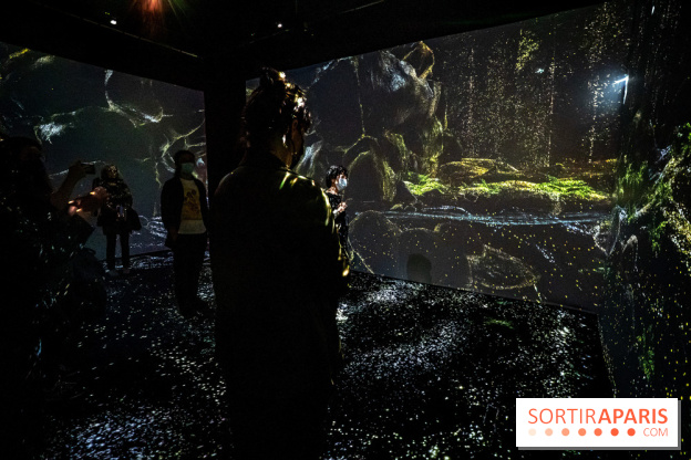 Photos : Odyssée sensorielle, l’expo immersive au Museum 