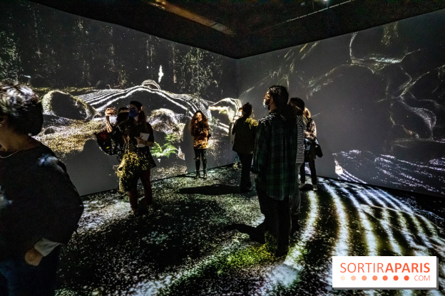 Photos : Odyssée sensorielle, l’expo immersive au Museum 