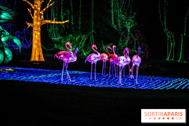 Thoiry Lumières Sauvages 2021-2022