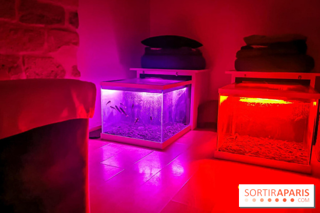 Un bar à sieste à Paris : offrez-vous un moment de détente avec ZZZen