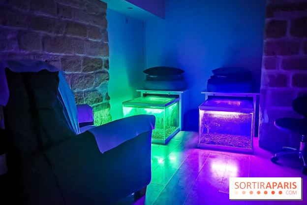 Un bar à sieste à Paris : offrez-vous un moment de détente avec ZZZen