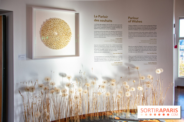 Le Musée Guimet propose une Carte blanche à Duy Anh Nhan Duc