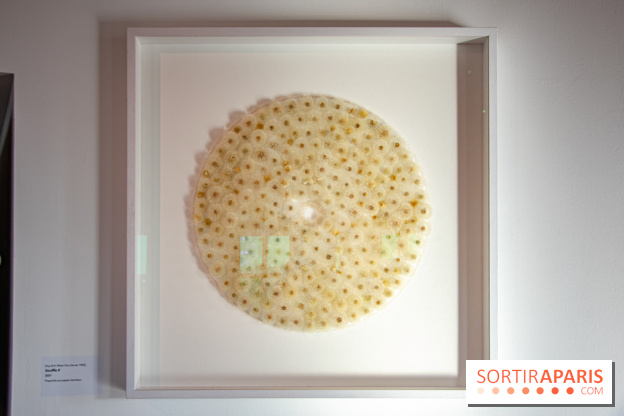 Le Musée Guimet propose une Carte blanche à Duy Anh Nhan Duc