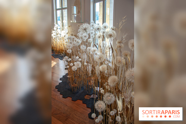 Le Musée Guimet propose une Carte blanche à Duy Anh Nhan Duc