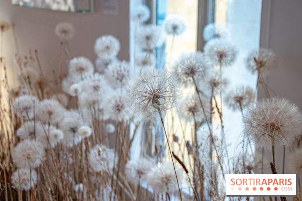 Le Musée Guimet propose une Carte blanche à Duy Anh Nhan Duc