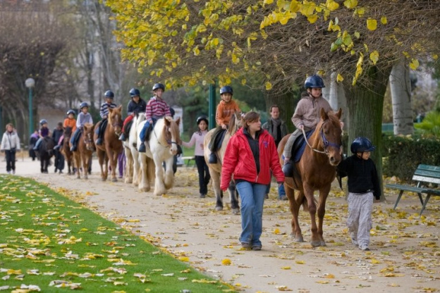 Cheval dans la ville, Parc de Choisy, Equitation, Sport, Paris