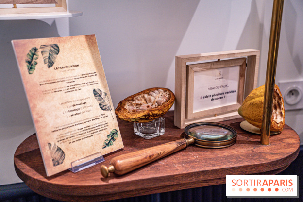 La Bûche Cabosse et les créations de Noël de CinqSens 2021