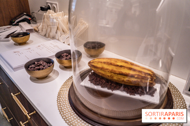 La Bûche Cabosse et les créations de Noël de CinqSens 2021