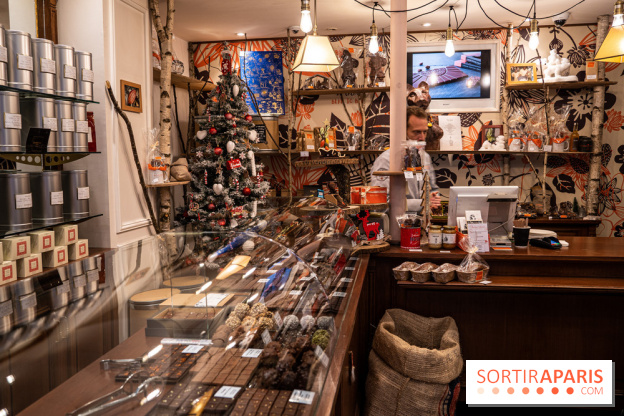 La Bûche de Noël de la Reine Astrid au mucilage 