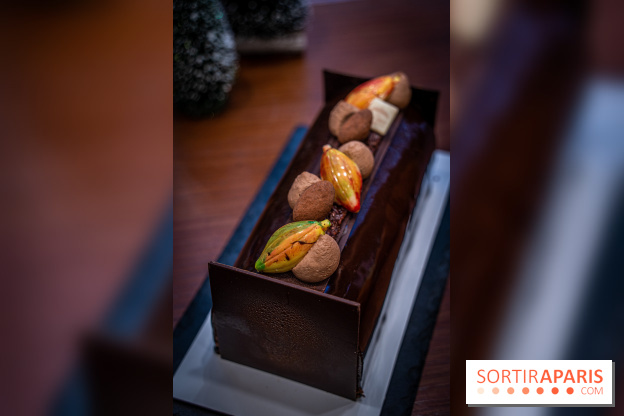 La Bûche de Noël de la Reine Astrid au mucilage 