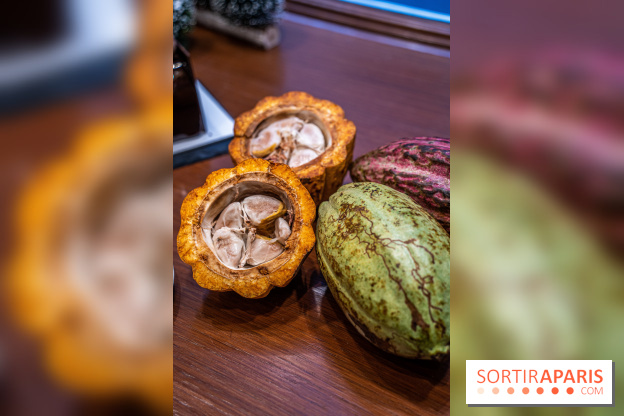 La Bûche de Noël de la Reine Astrid au mucilage 