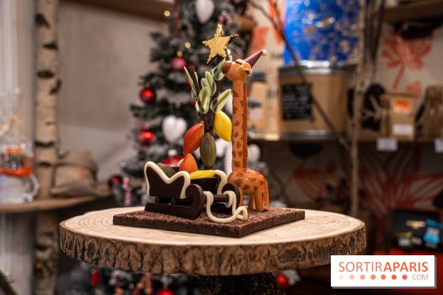 La Bûche de Noël de la Reine Astrid au mucilage 