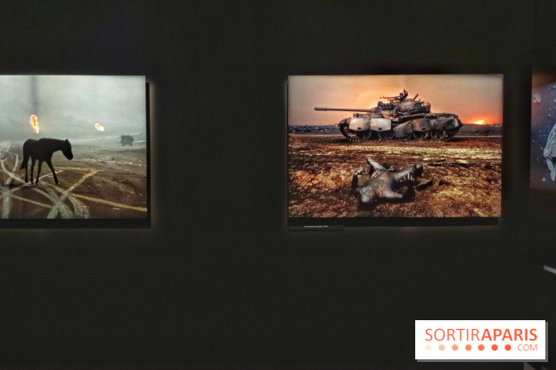 Le Monde de Steve McCurry, l'exposition photo dépaysante du Musée Maillol - nos photos