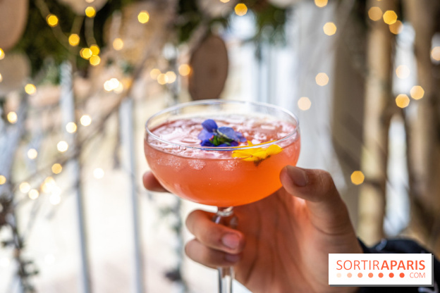 La Maison Louveciennes en chalet d'hiver, les photos