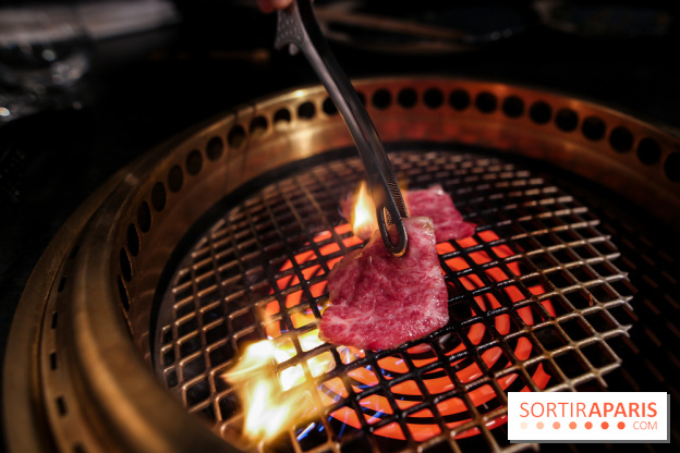 1129 iiniku, nos photos