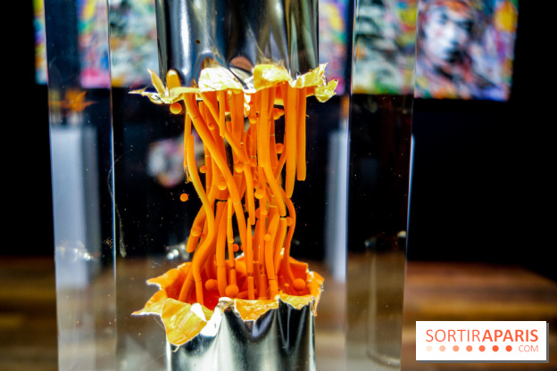 District 13 Art Fair 2022, nos photos