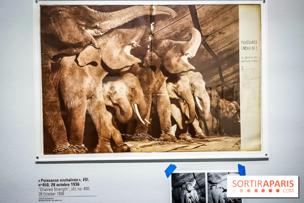 La photographie en spectacle, l'exposition gratuite de Gaston Paris au Centre Pompidou - nos photos