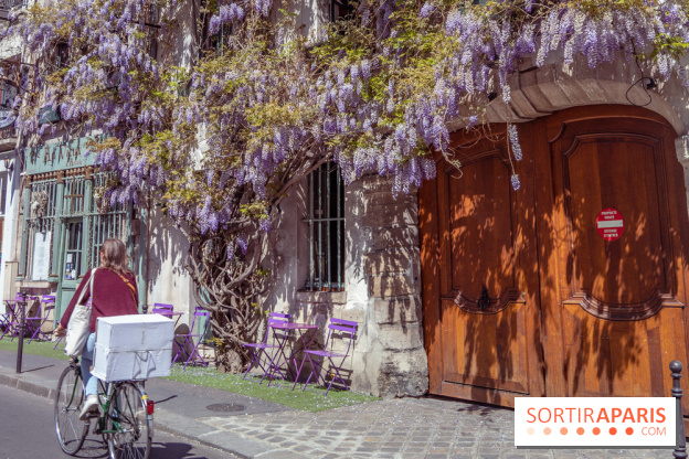 Les cafés fleuris de Paris