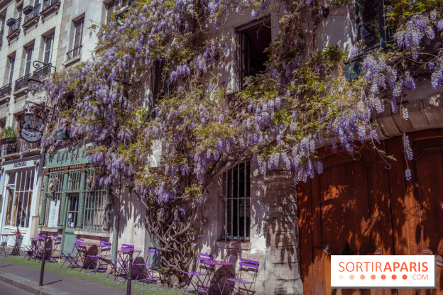 Les cafés fleuris de Paris