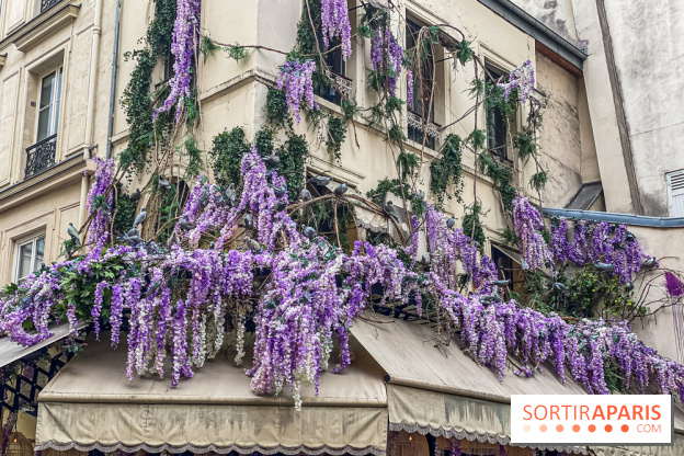 Les cafés fleuris de Paris