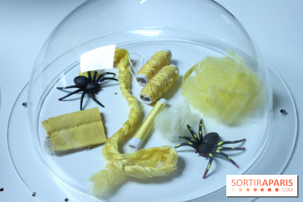 Futurotextiles 3 à la Cité des Sciences : fil d'araignées