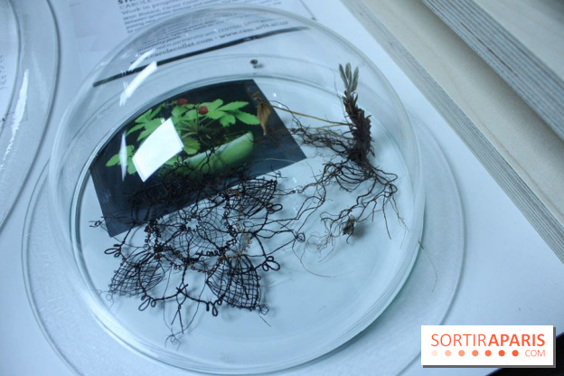 Futurotextiles 3 à la Cité des Sciences : fraisier