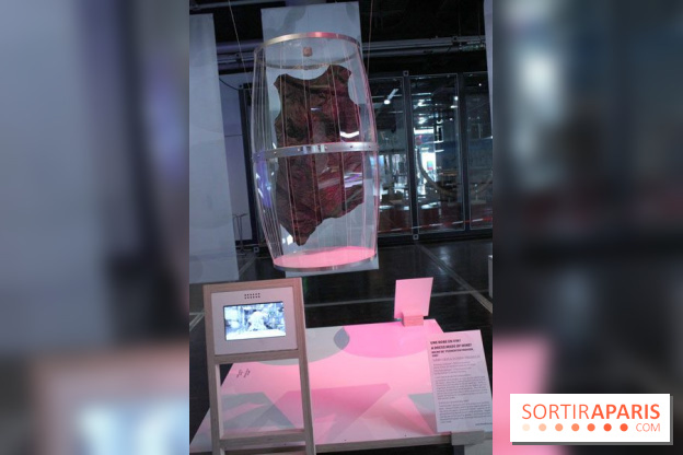 Futurotextiles 3 à la Cité des Sciences : marc de vin