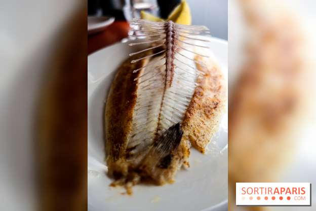 Les Petits Bateaux à Paris, nos photos 