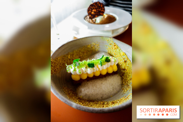 Les Petits Bateaux à Paris, nos photos 