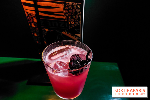Zanzi : bar à cocktails à Paris, nos photos