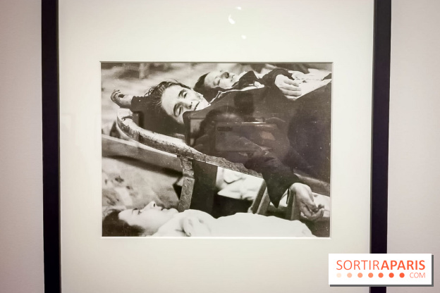 Femmes photographes de guerre, l'exposition du musée de la Libération - nos photos