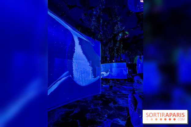 Ephemera, le premier restaurant immersif à Paris